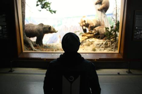 10006006_10205280737846477_549451522830769223_o